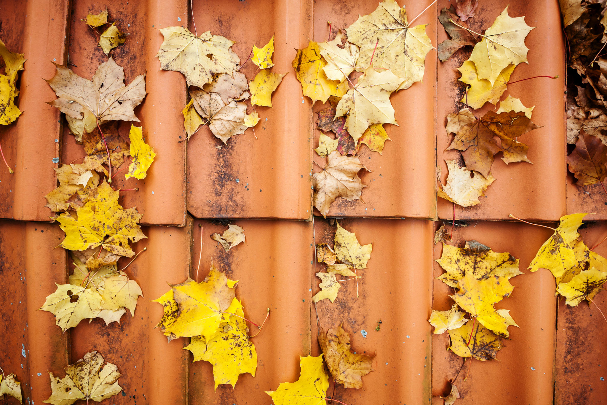Getting Ready For Fall How To Properly Clean Your Concrete Tile Roof